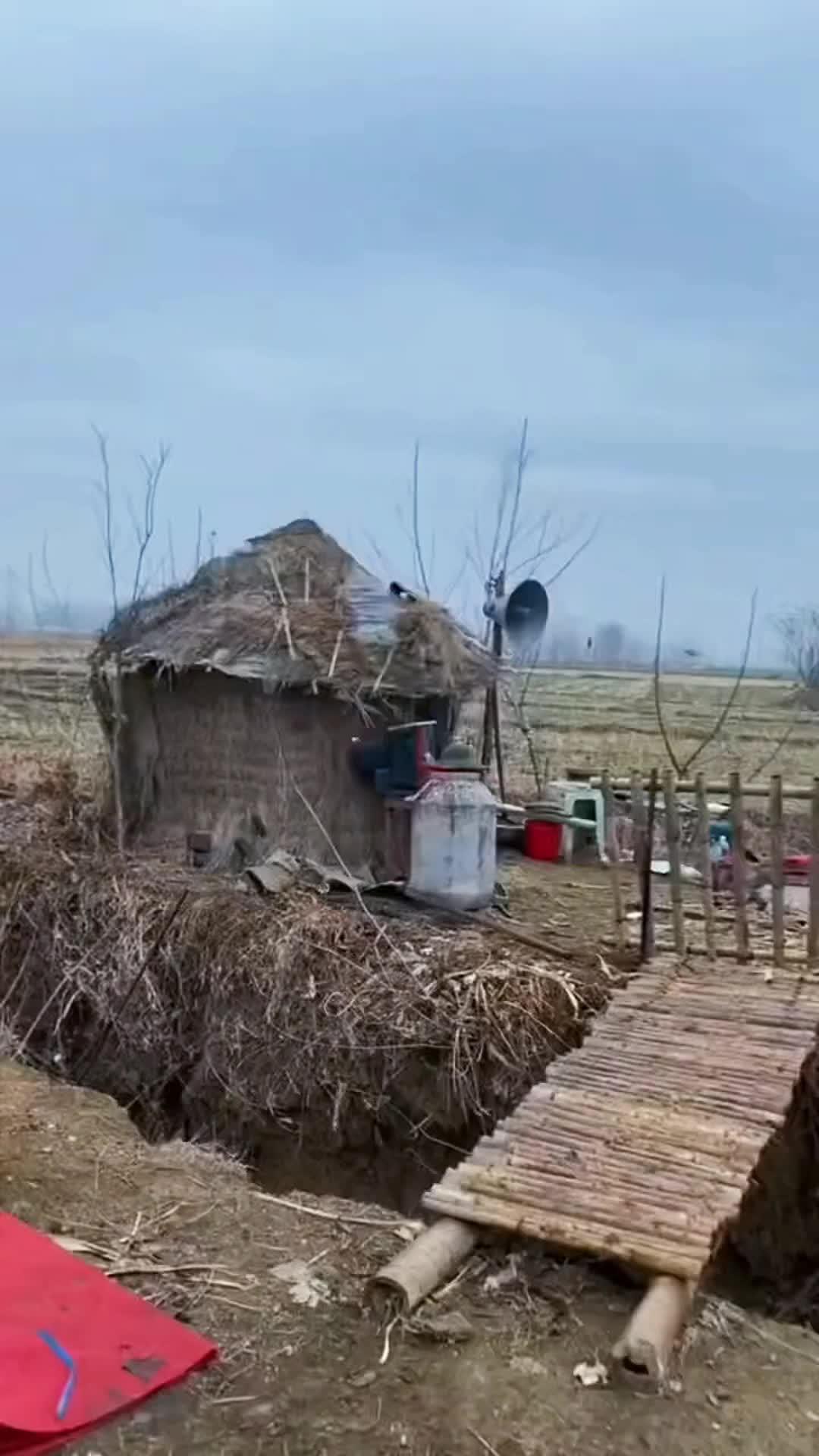 农村毛草屋图片