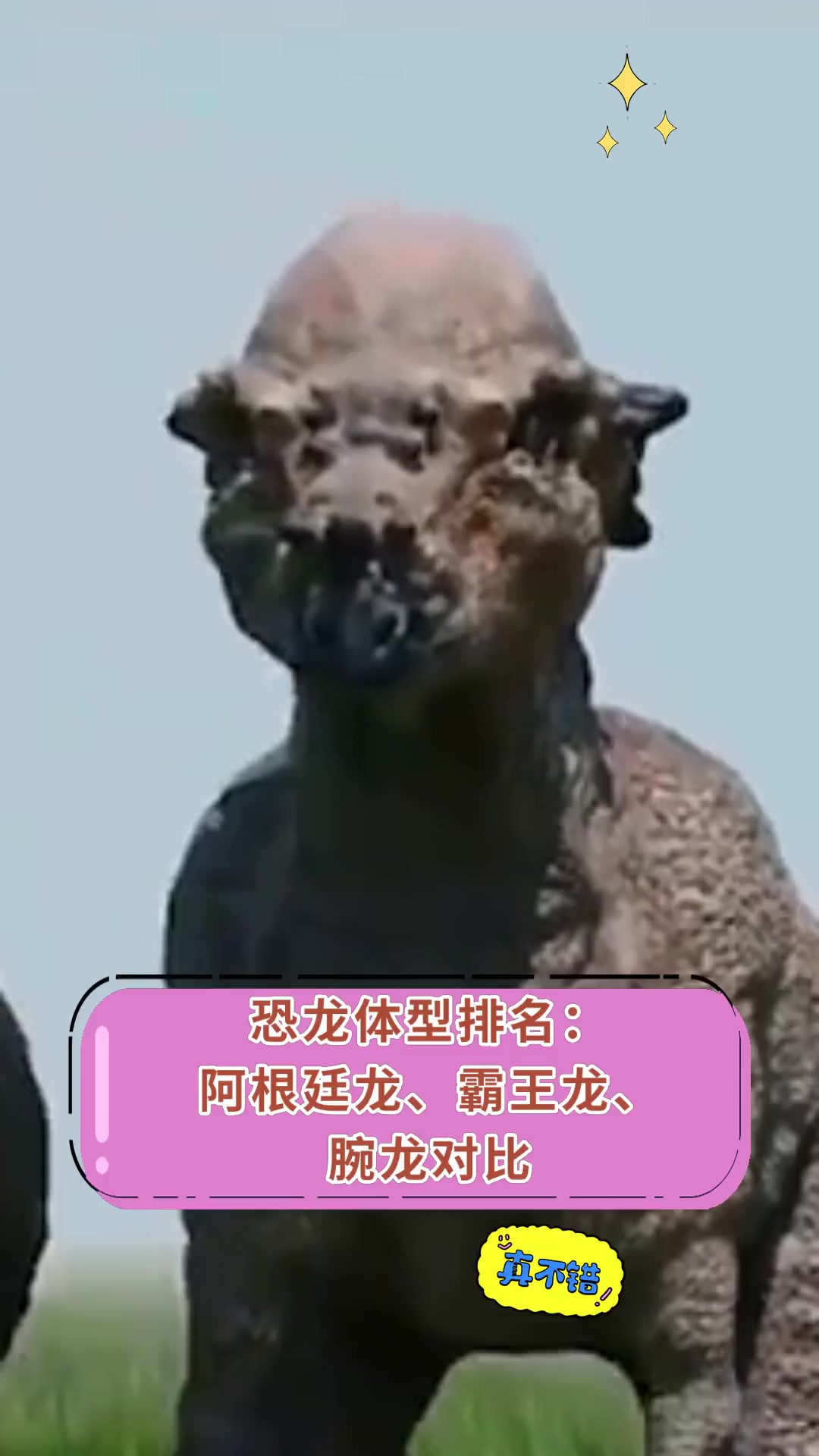 恐龙体型排名:阿根廷龙,霸王龙,腕龙对比
