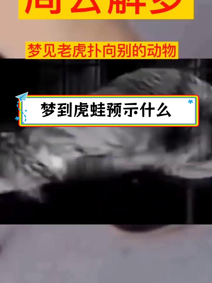 梦见老虎与青蛙的寓意解析