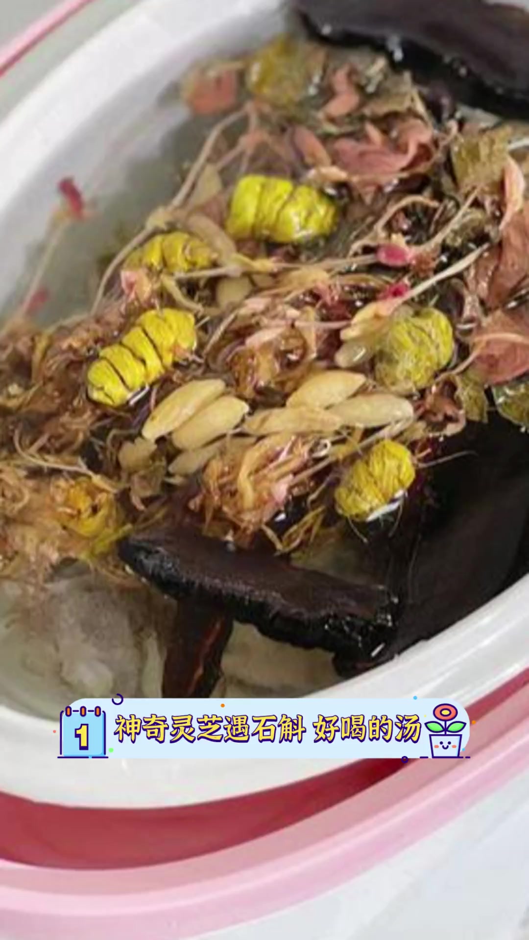 神奇灵芝遇石斛,好喝的汤