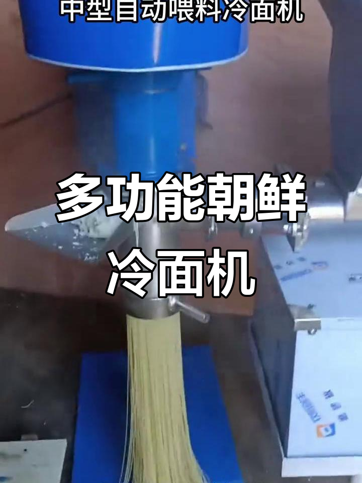 朝鲜冷面机多功能设计,操作简便,性能稳定