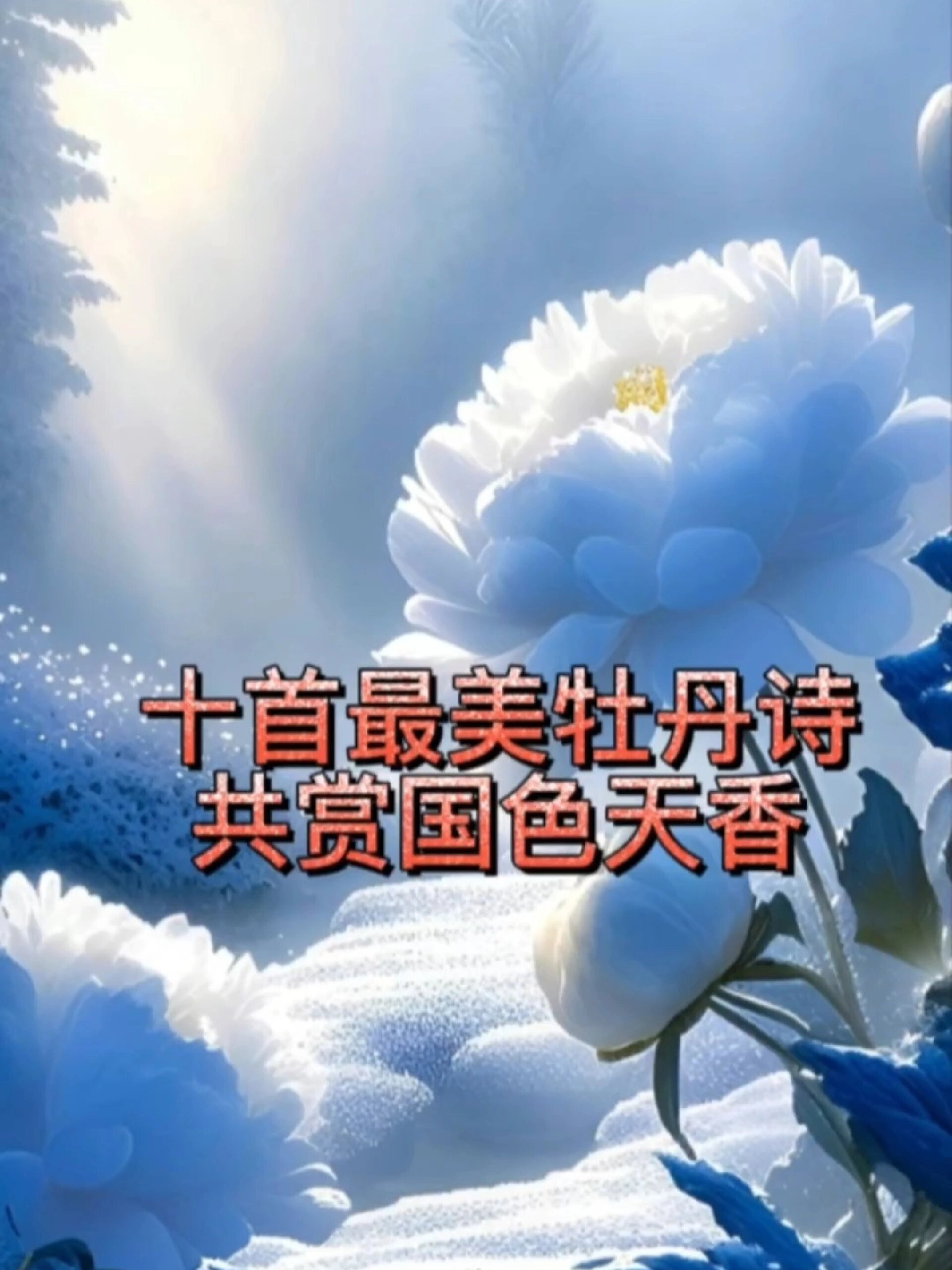 十首最美牡丹诗共赏国色天香
