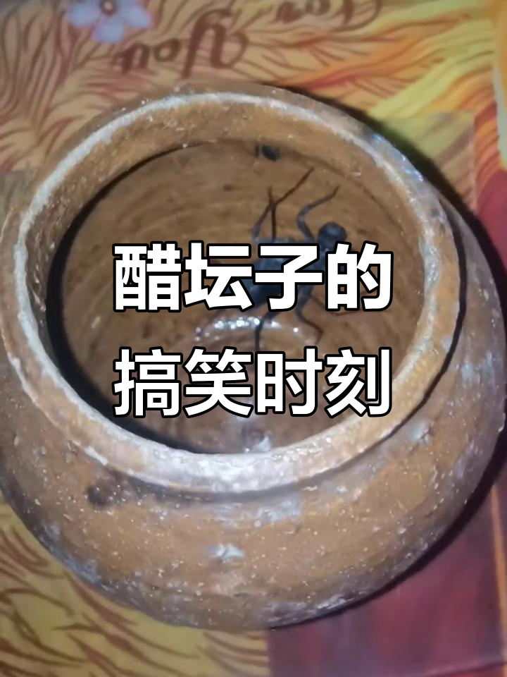 醋坛子大作战,笑料百出!