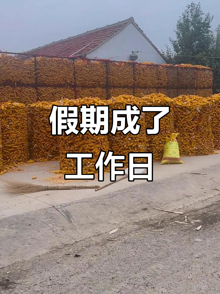 国庆假期变劳动节,开始忙碌了!