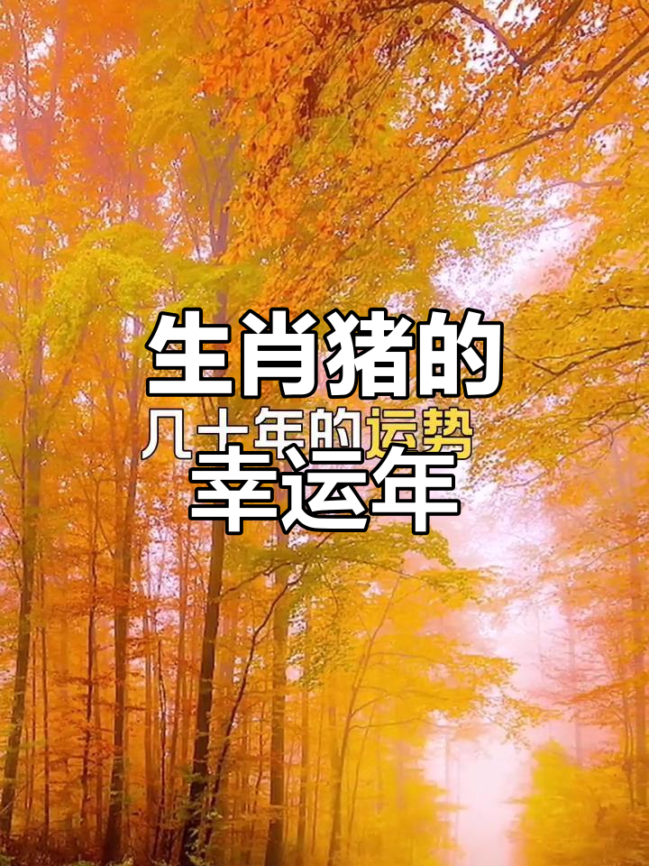7月23日生肖猪运势查询(2021年7月生肖猪运势)