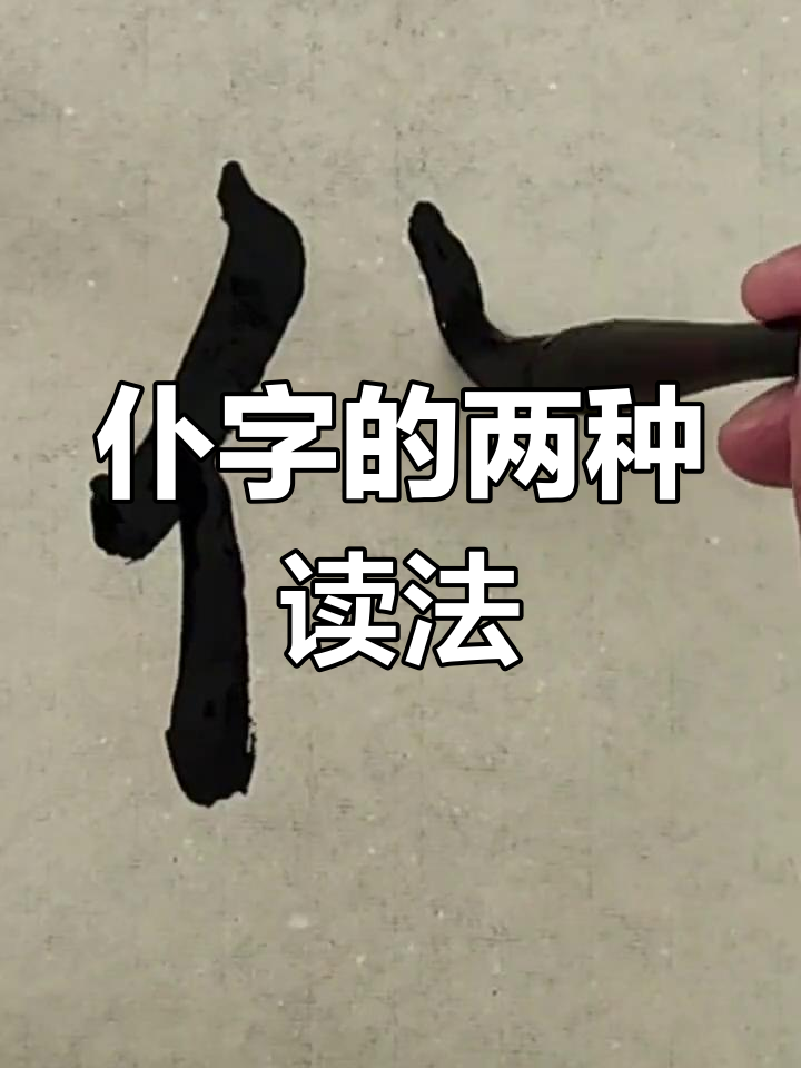 仆组词