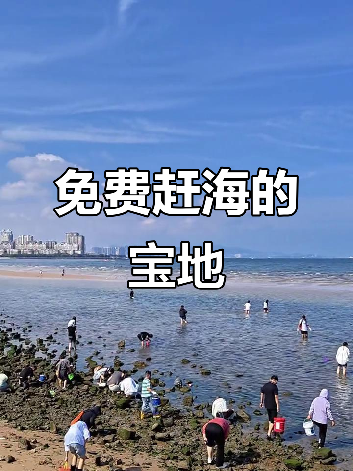 威海九龙湾公园:免费赶海,海岸线超长!