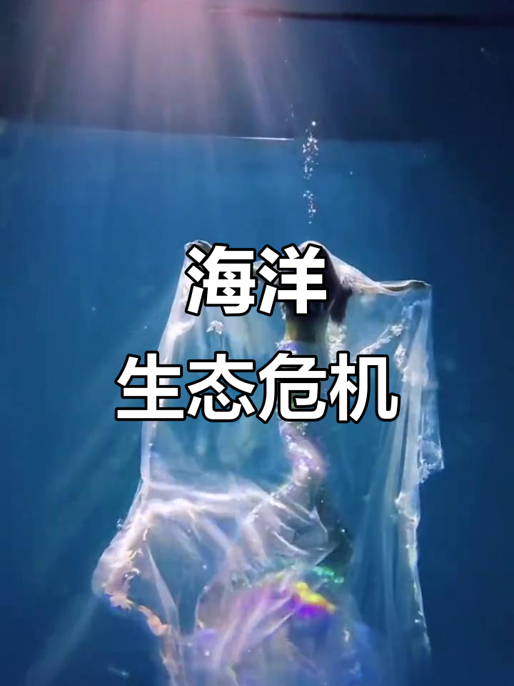 美人鱼被困网中,象征自由与束缚的悲剧