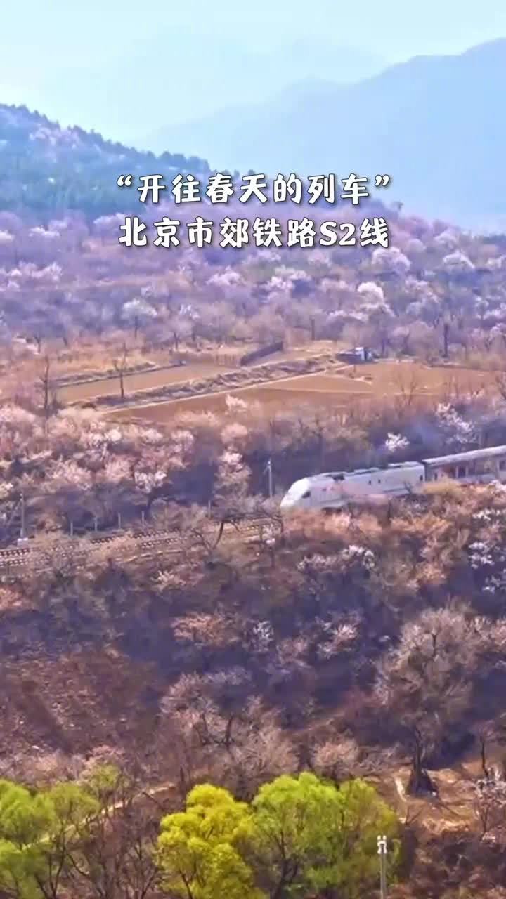 美开往春天的列车带你穿越花海北京市郊铁路s2线沿着老京张铁路修建依