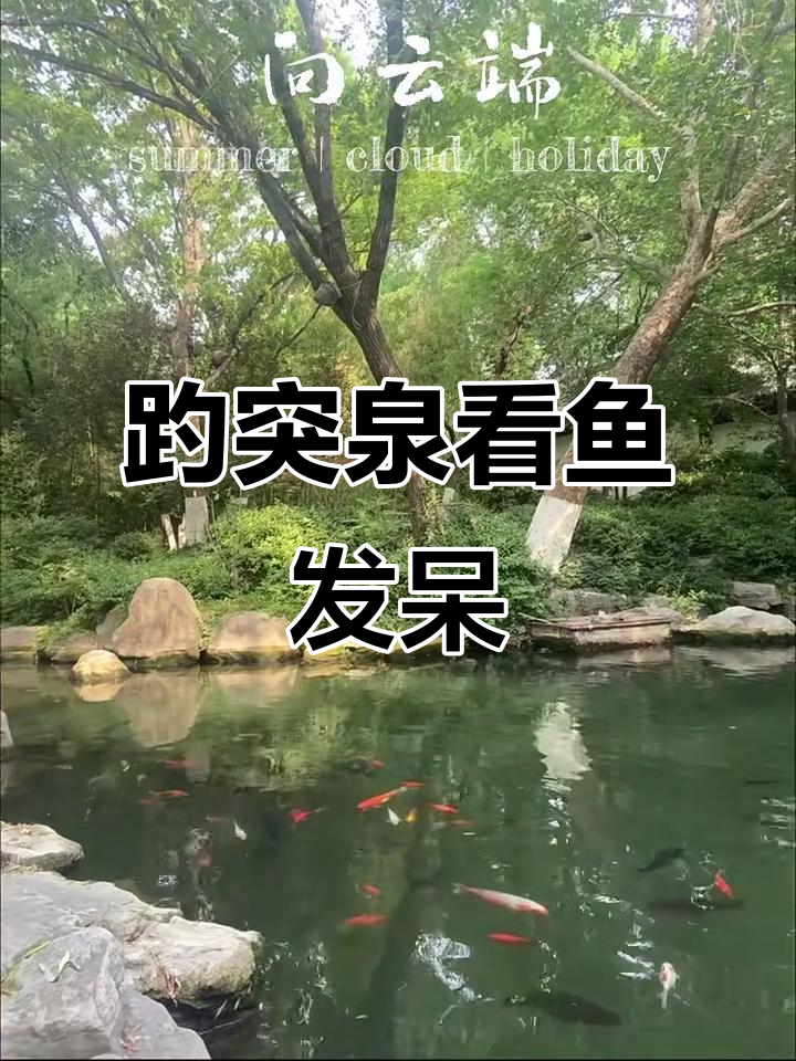 济南趵突泉濯缨池,鱼游悠闲,适合发呆放松