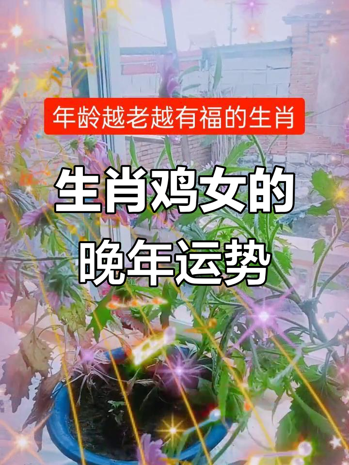 易经运势生肖鸡女婚配(生肖鸡女配什么生肖最好)