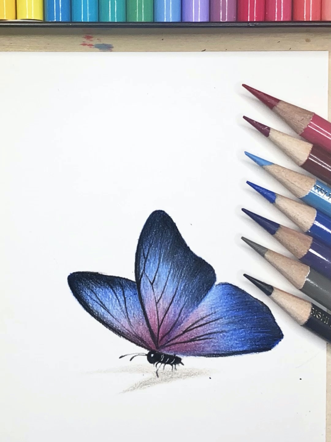 既简单又漂亮的彩铅蝴蝶画法哦!-度小视
