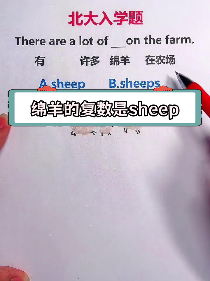 sheep的复数形式图片