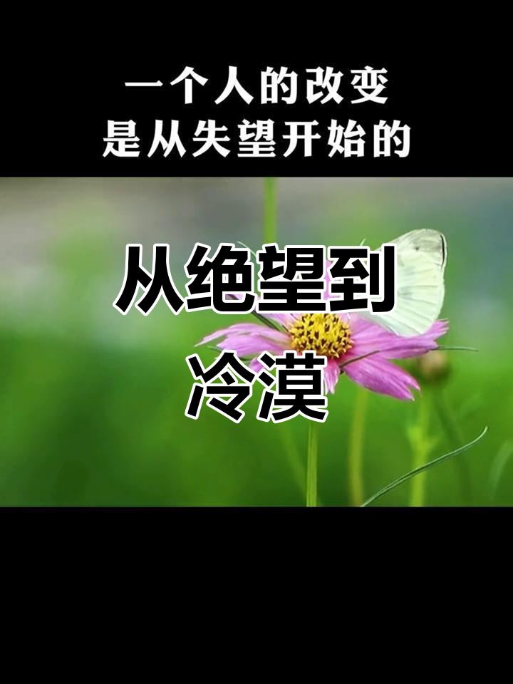 失望累积成冷漠,一个人的改变从心寒开始