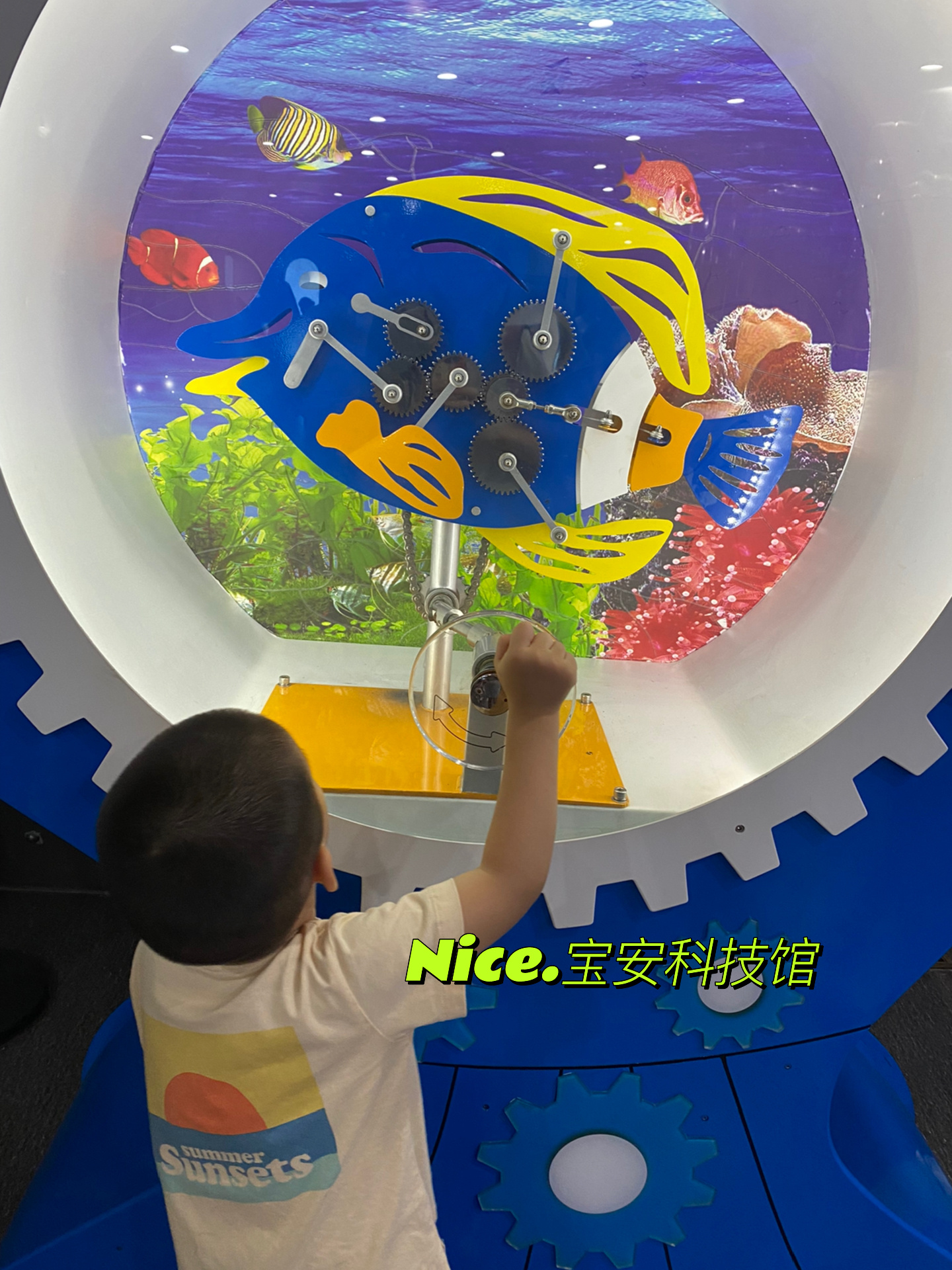 nice 宝安科技馆