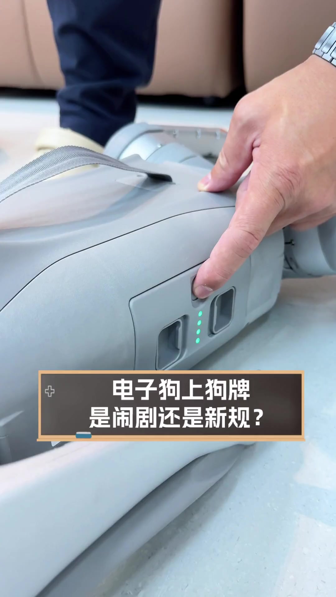 电子狗上狗牌,是闹剧还是新规?