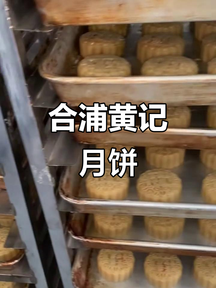 广西合浦黄记揽月月饼,传统手工味道满满