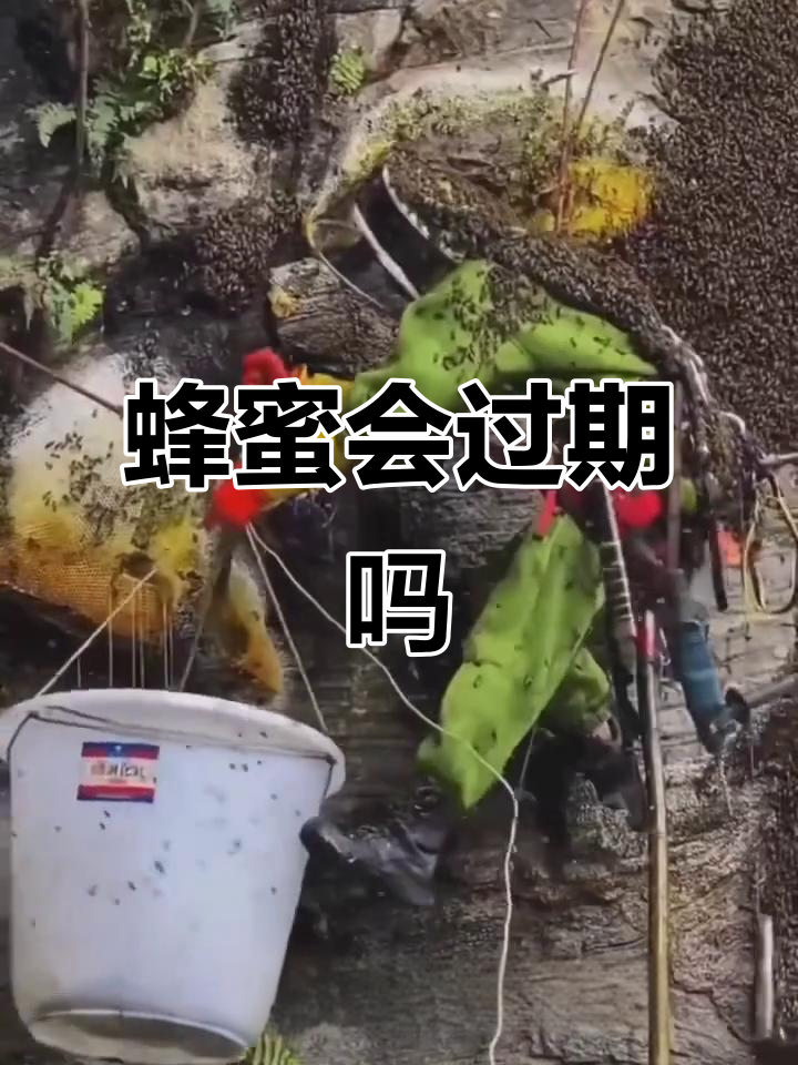 蜂蜜时间久了会不会过期(蜂蜜时间久了能吃吗?)