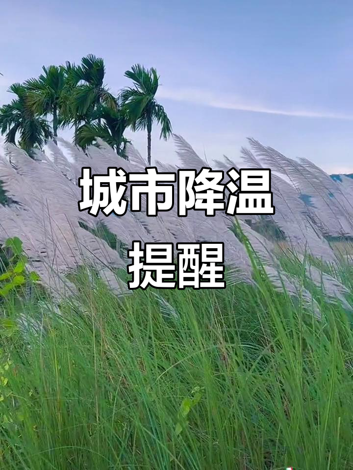 快天气今日情况