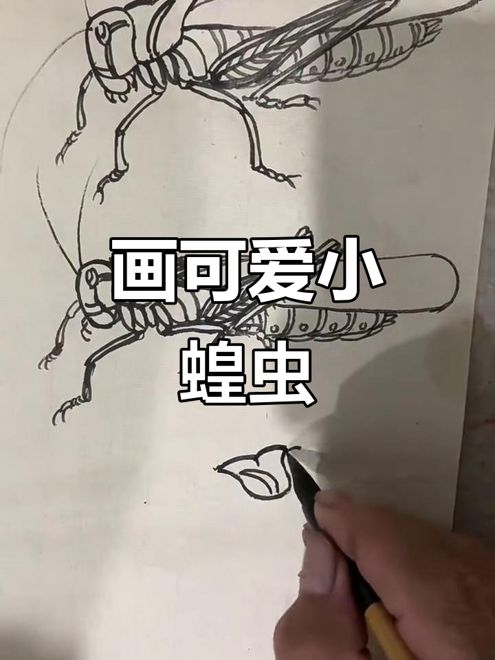 小朋友学画蝗虫,萌态十足