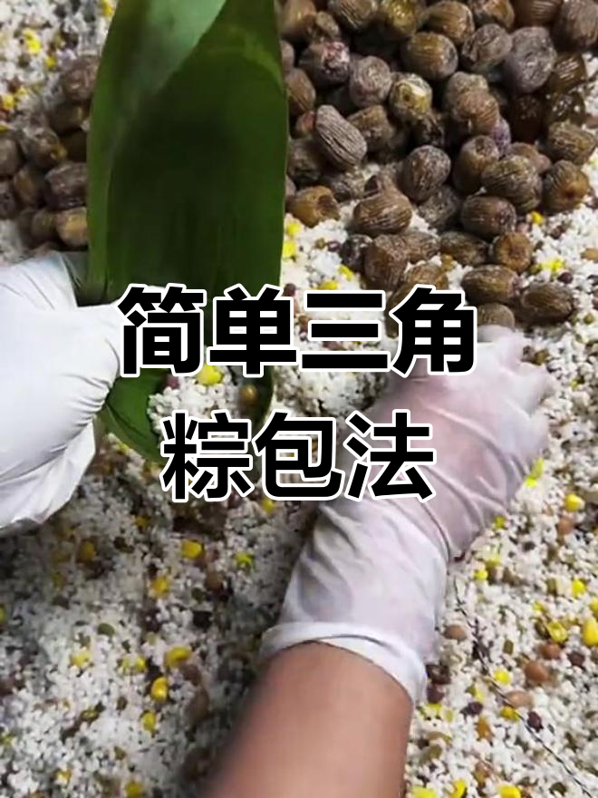 尖角粽子的包法图片