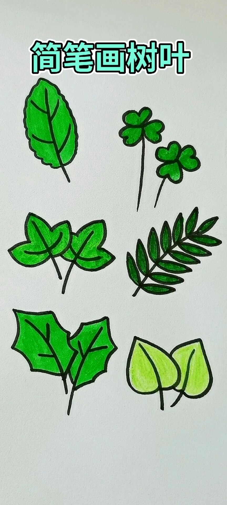 简笔画树叶