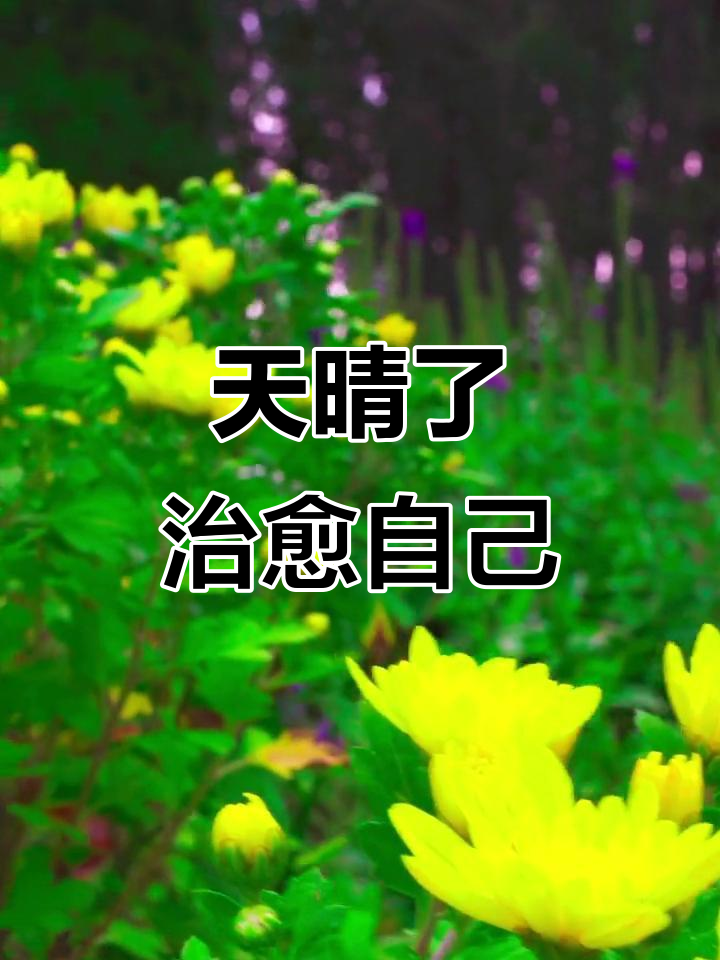 雨过天晴,心情焕然一新