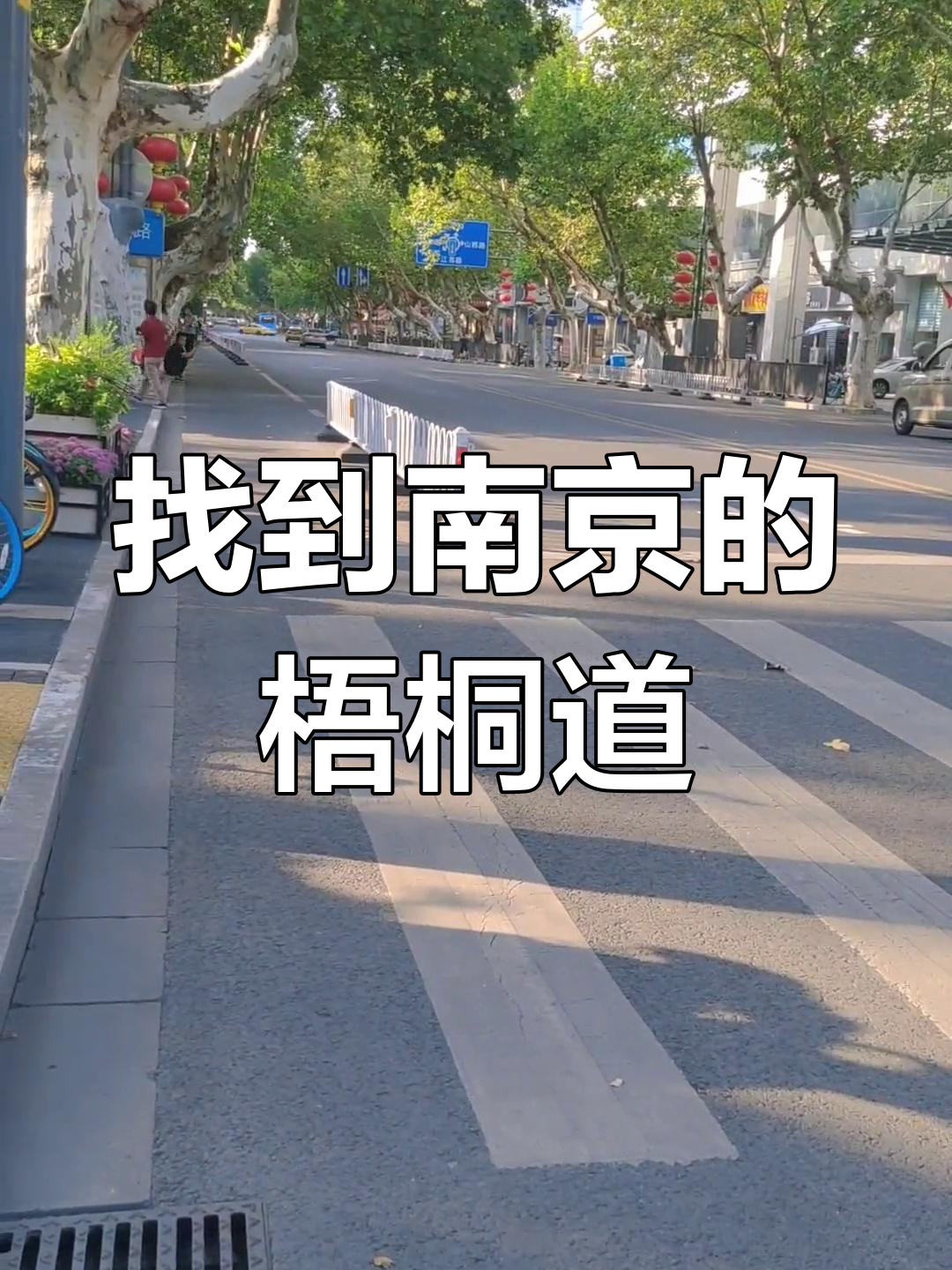 南京梧桐道究竟在哪里?