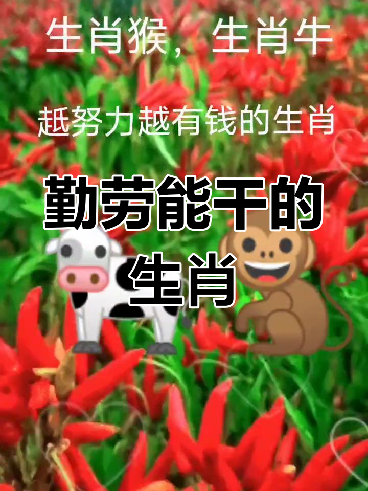 生肖猴牛年运势图(属猴牛年运势2021运势详解)