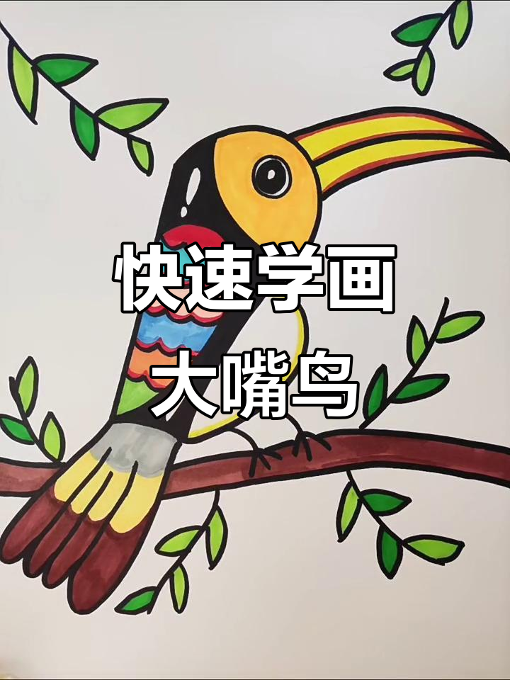 用123轻松画大嘴鸟,简单又有趣!