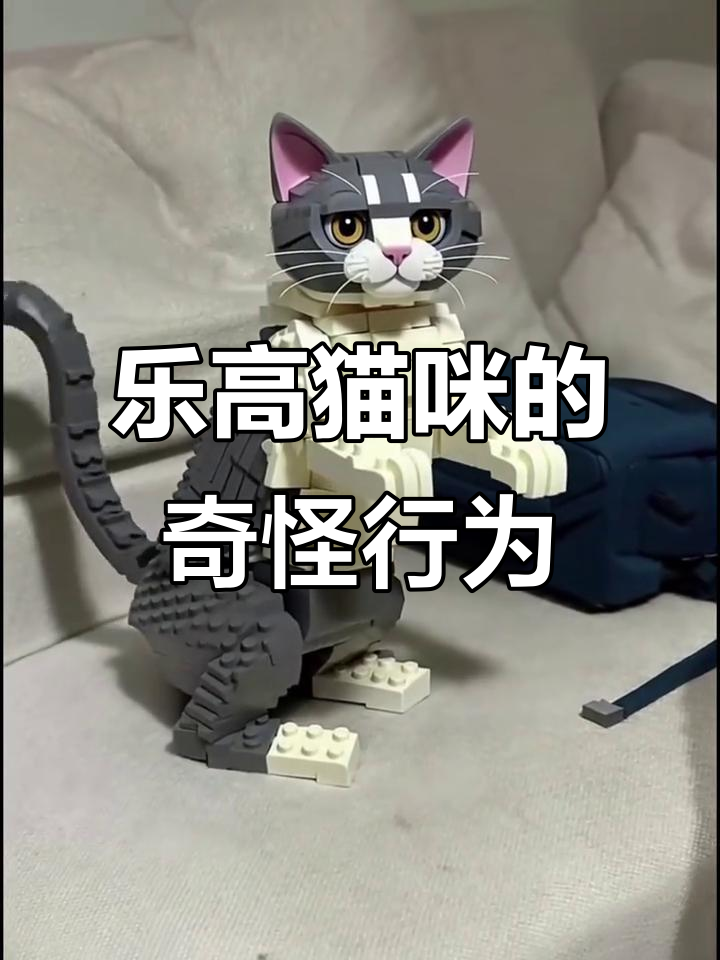 这只乐高猫太迷惑了,竟然做出这种事!