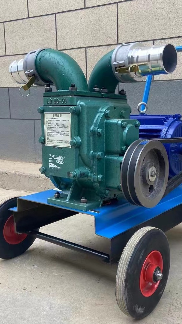 养殖场专用抽粪泵强力吸粪泵抽鸡粪鸭粪猪粪大流量化粪池