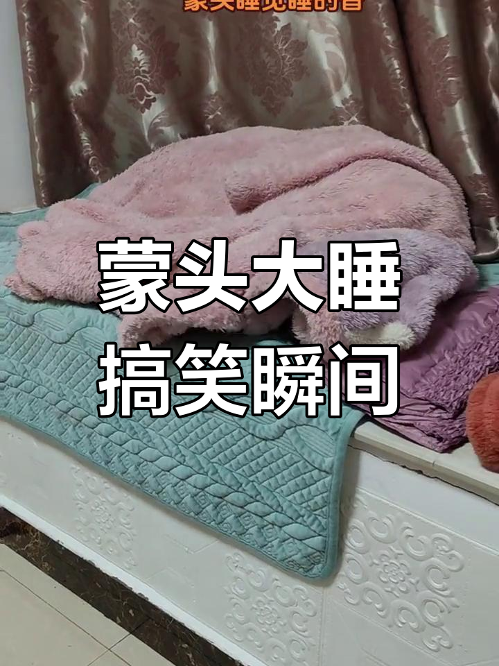 蒙头睡觉,鼻子露出来笑翻了