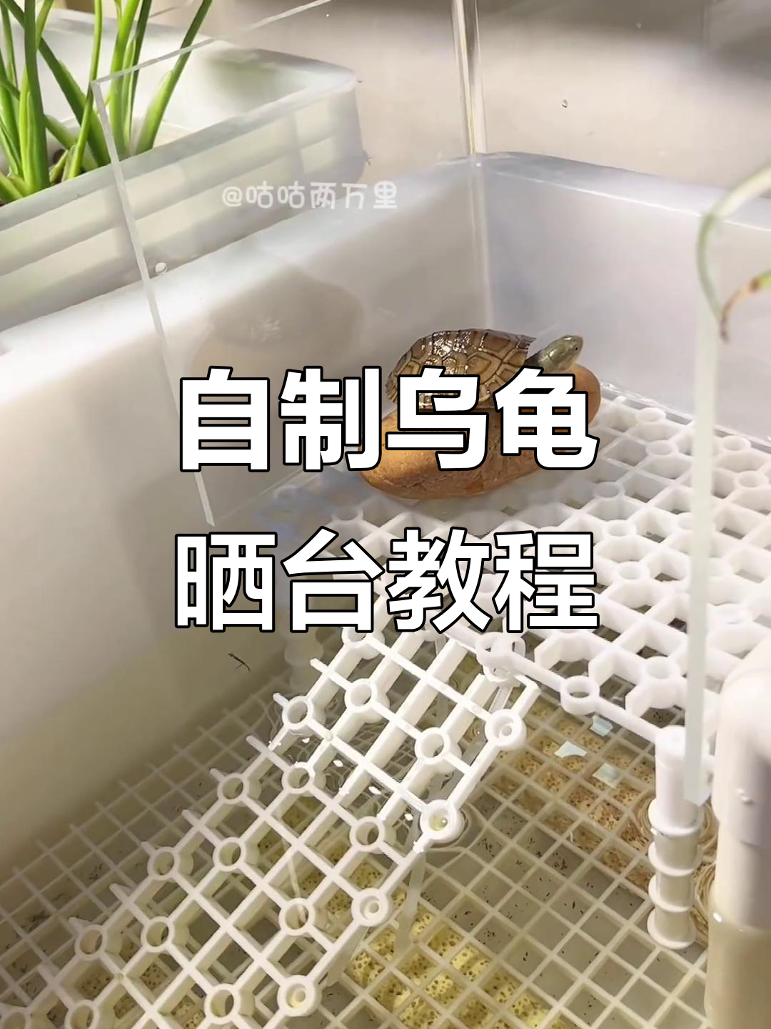 底滤板晒台diy教程,轻松打造个性化乌龟休息区