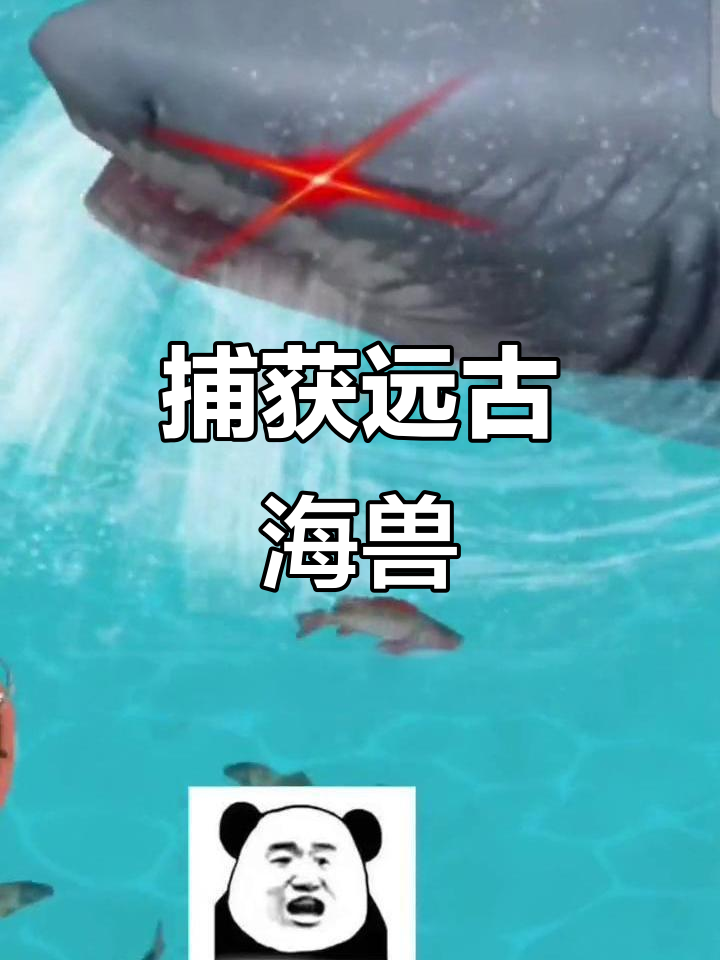 捕到远古巨鲨,竟然值一千多万!