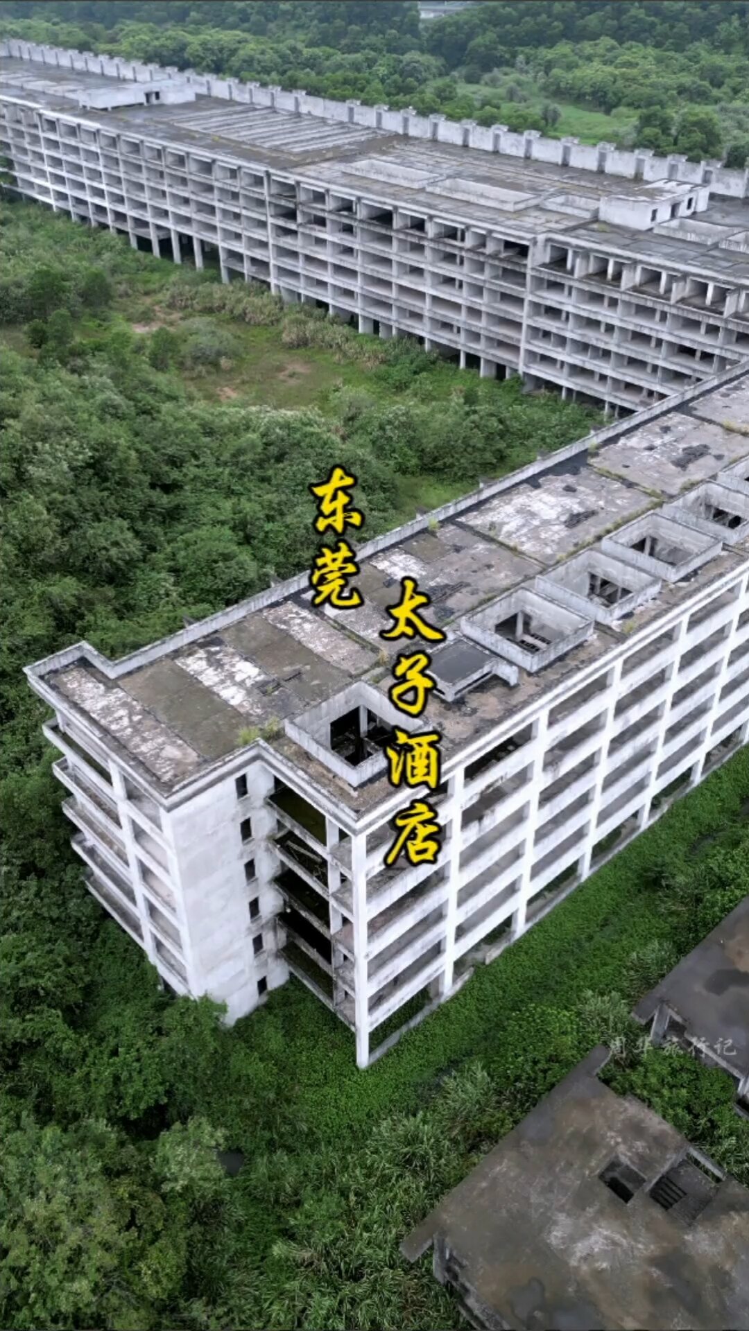 太子酒店,见证了曾经东莞的光辉岁月