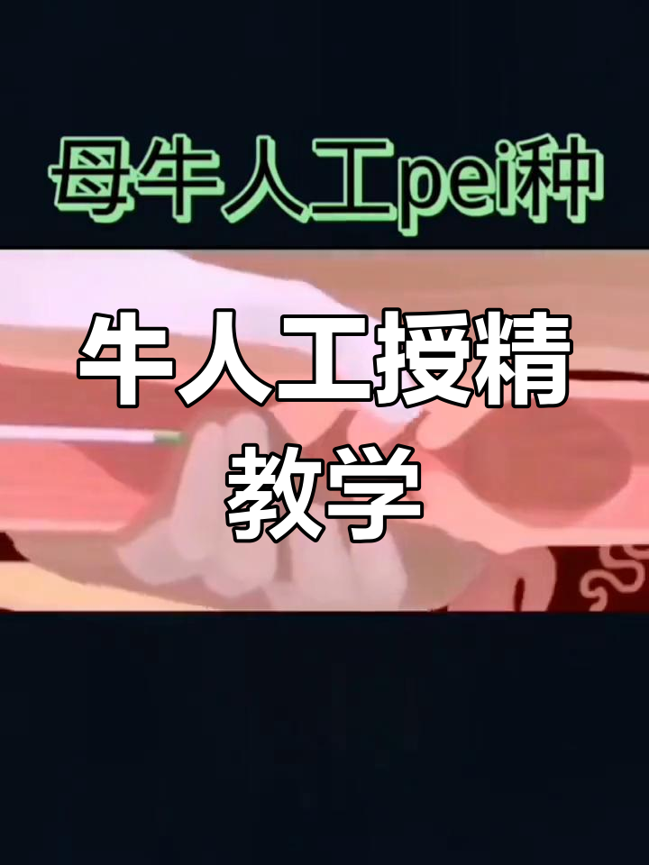 牛人工授精全过程3d演示