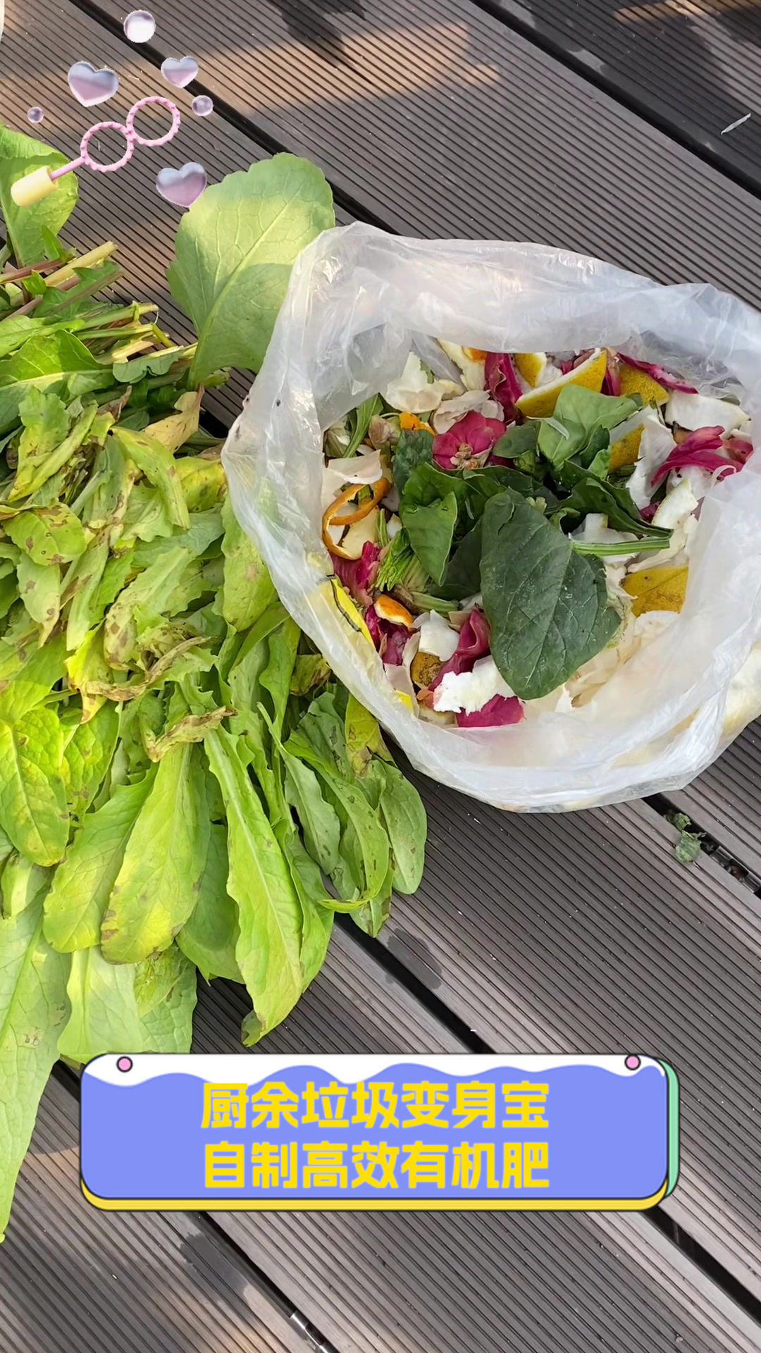 厨余垃圾变身宝,自制高效有机肥