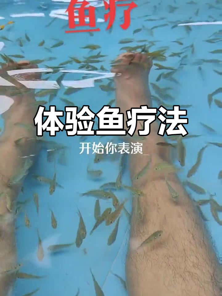 鱼疗的神奇作用,让你放松心情,焕发活力