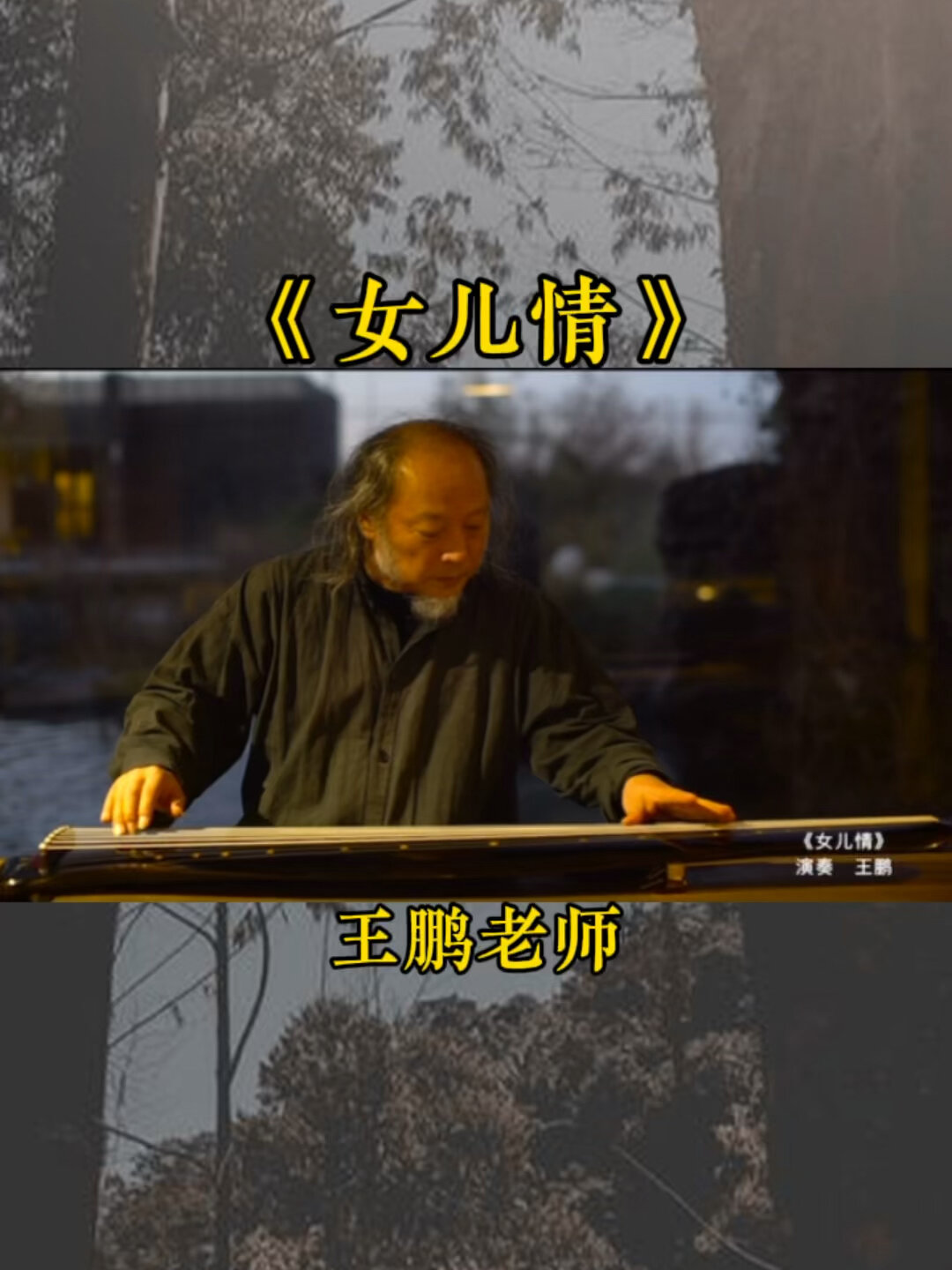 《女儿情》古琴版——王鹏老师-度小视