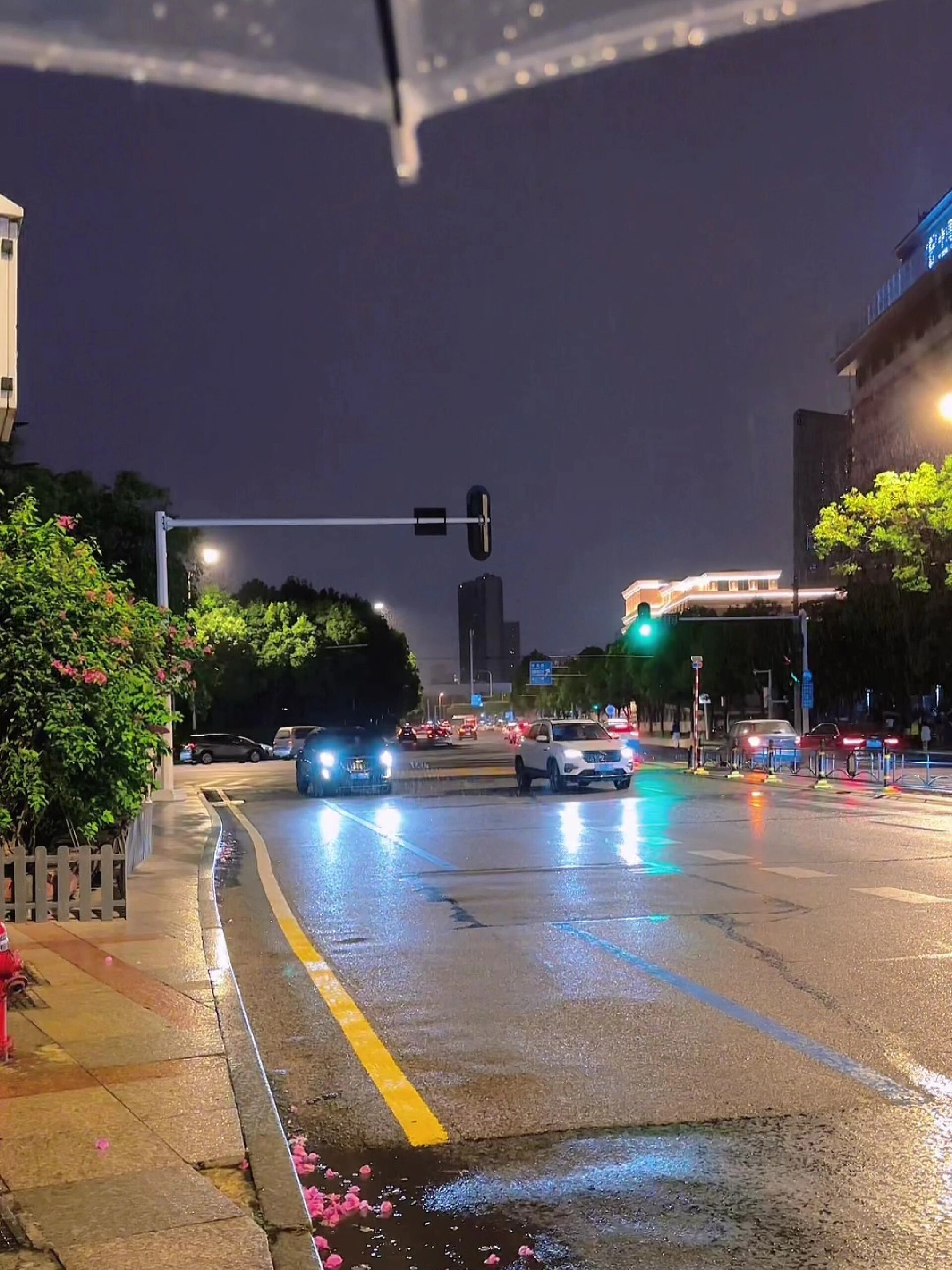 原创拍摄夜晚街道车流下雨素材