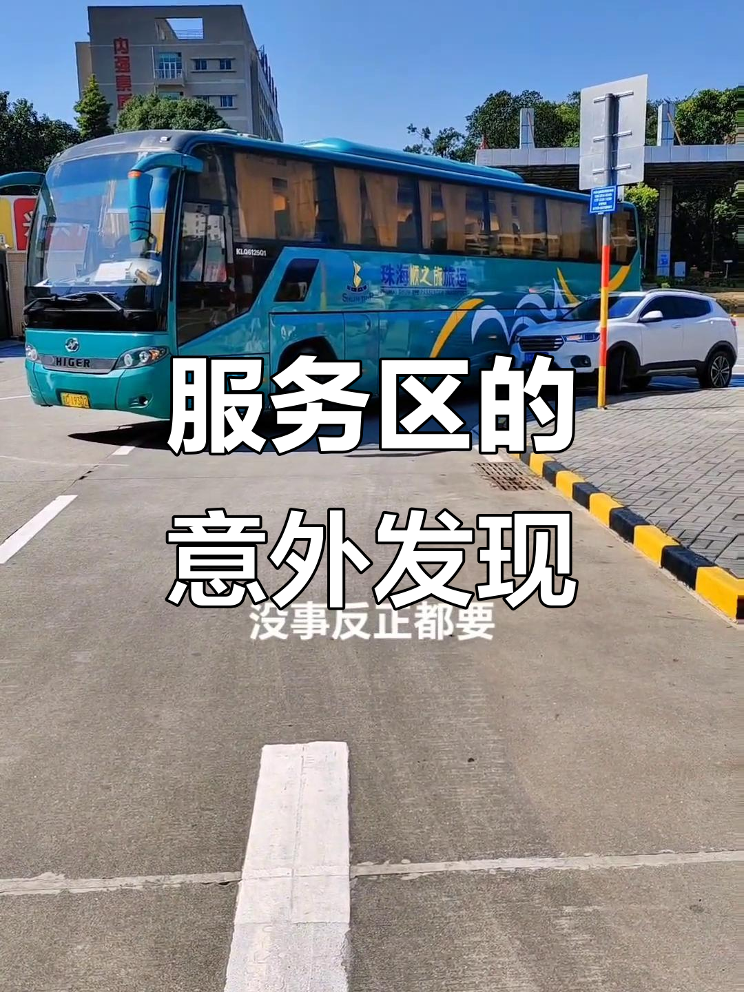 11月20日饭后散步,大岭山服务区小惊喜