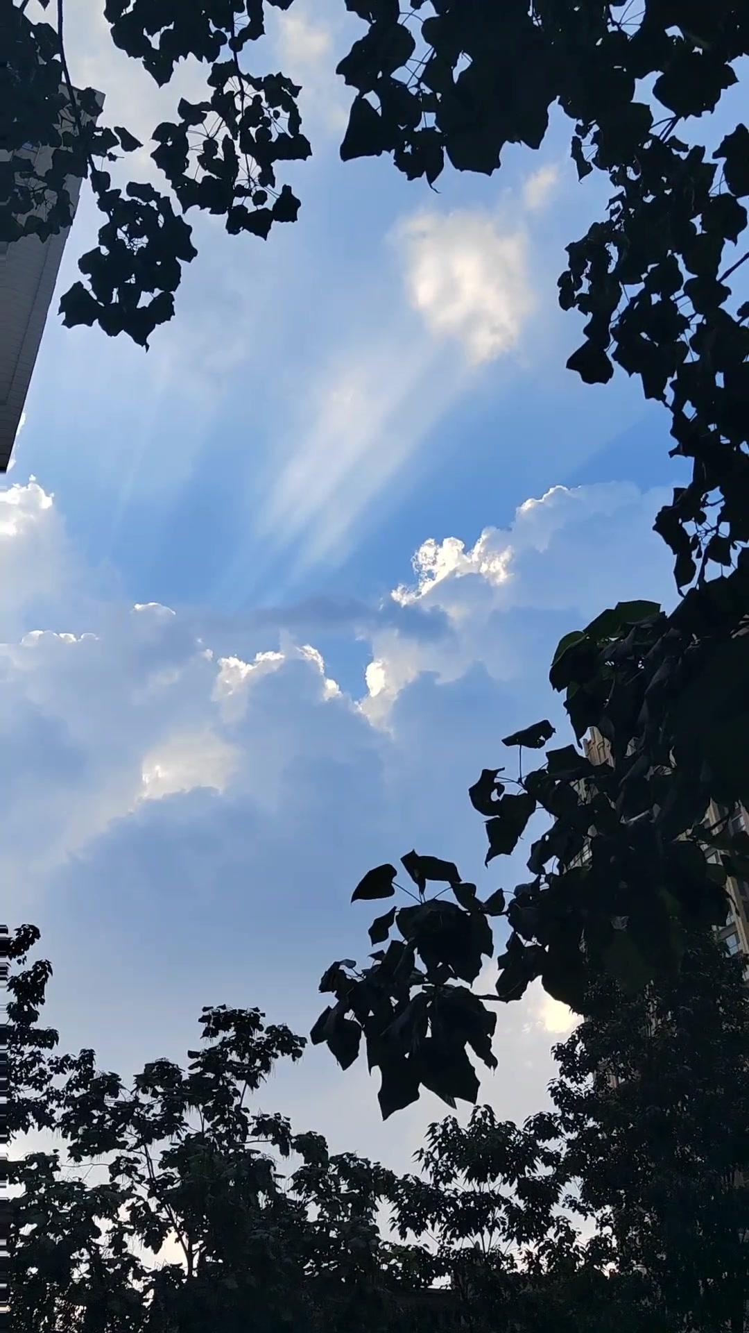 仙女要下凡了 随手拍天空 蓝天白云定会如期而至 今天的天空特别美