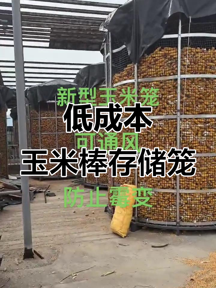新型玉米棒储存笼,通风防潮更省钱