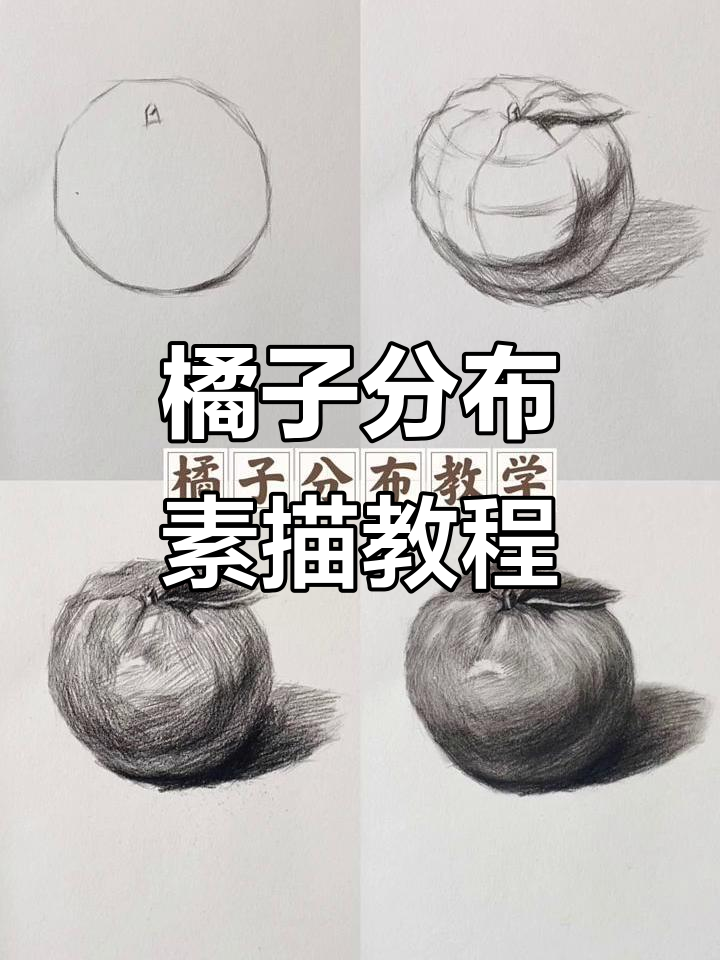 橘子素描教学:从零基础到画出可爱小橘