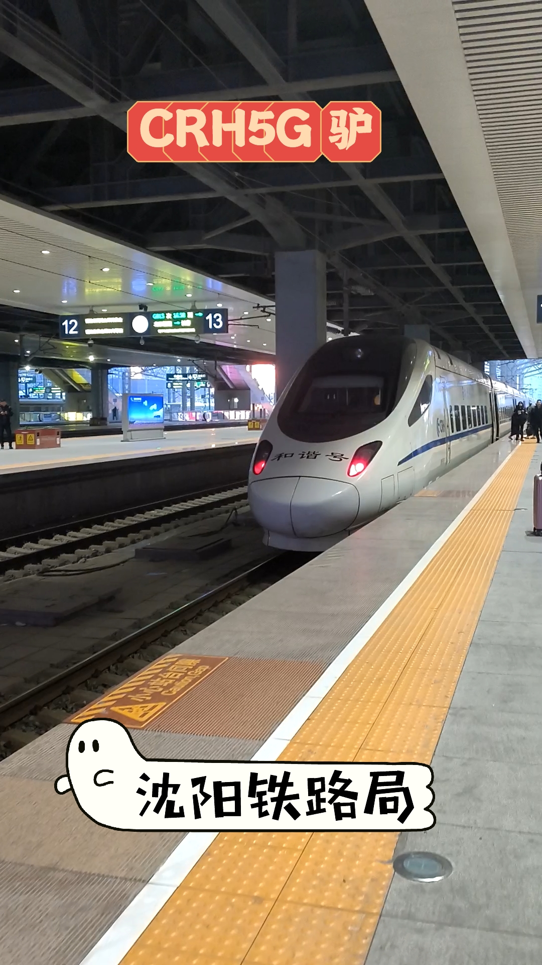 crh5g 长春遇见"驴"