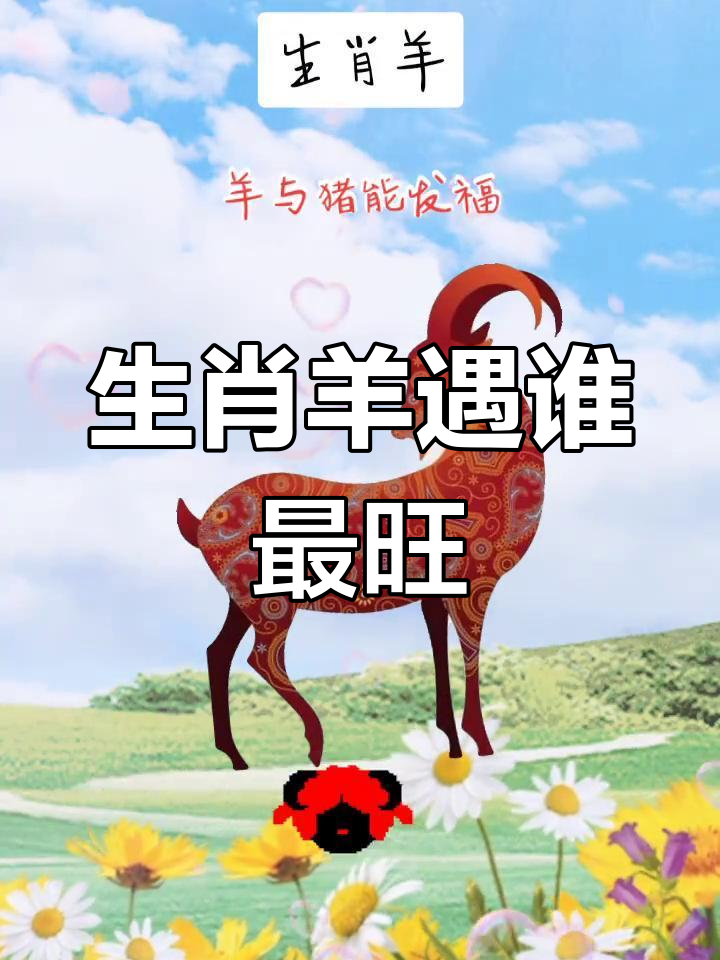 属羊的生肖运势图片大全(属羊的运势及运程)