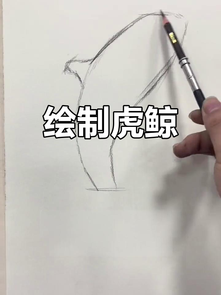 老虎怎么画 霸气虎鲸图片