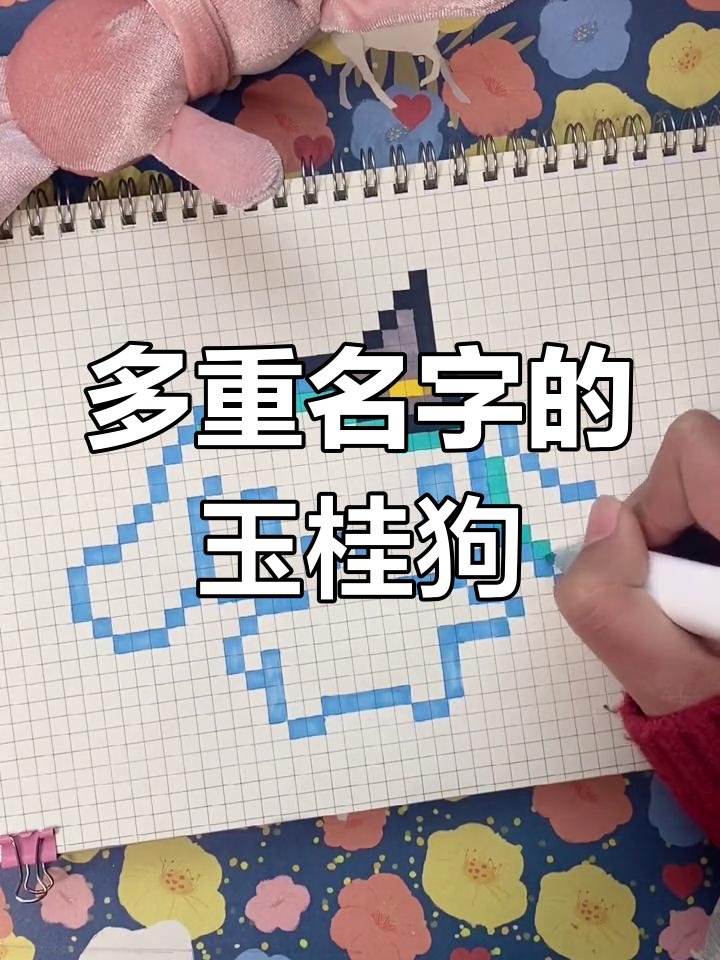 玉桂狗的像素画挑战