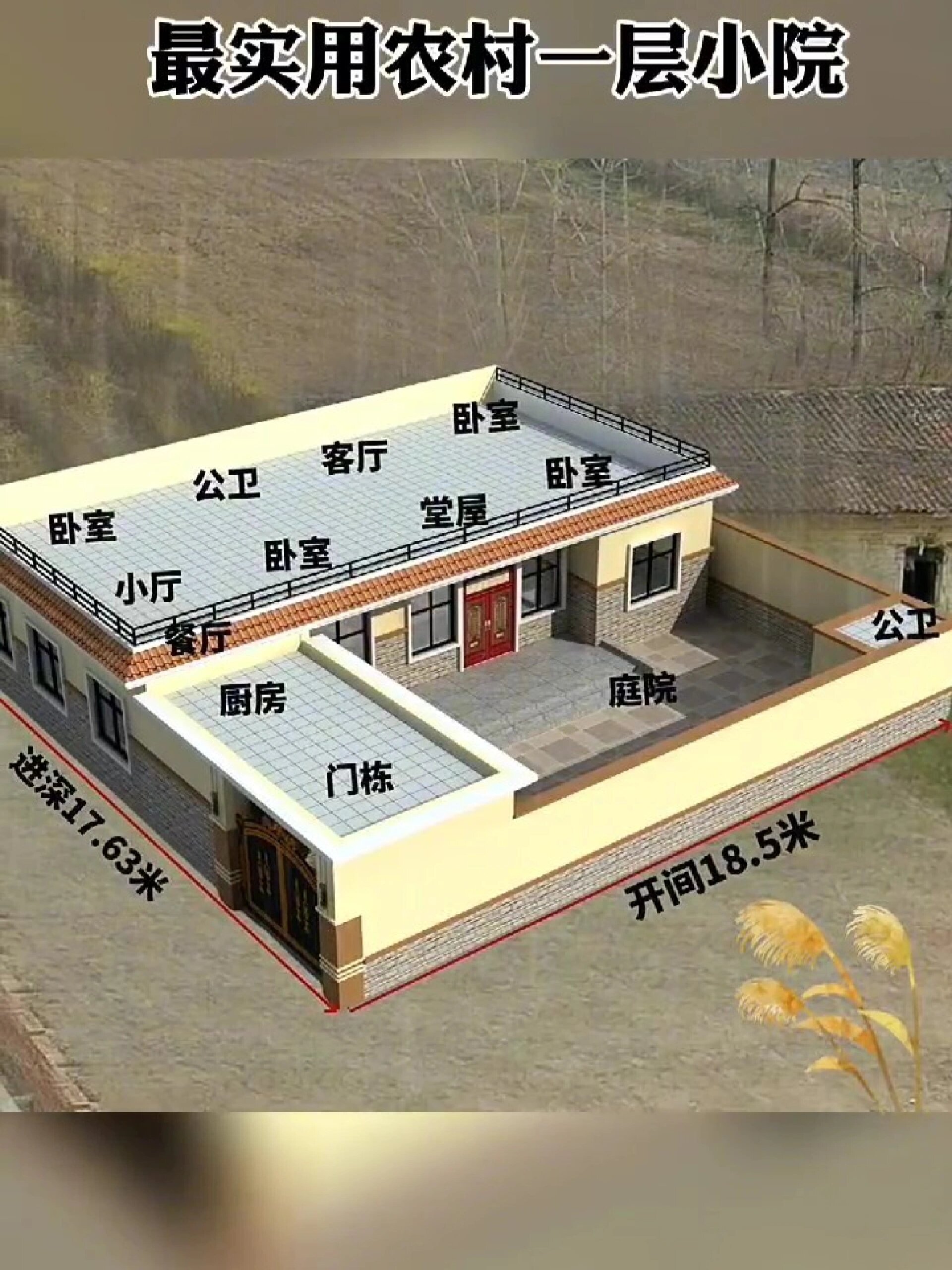 最实用农村一层小院平房设计
